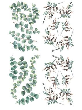 Dixie Belle Belles & Whistles Decor Transfer ~ COTTON & EUCALYPTUS 
~ 38" × 24"
